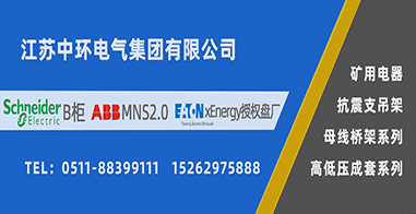 江苏中环电器集团有限公司2020年度安全文明建设集中采购项目 成交公示