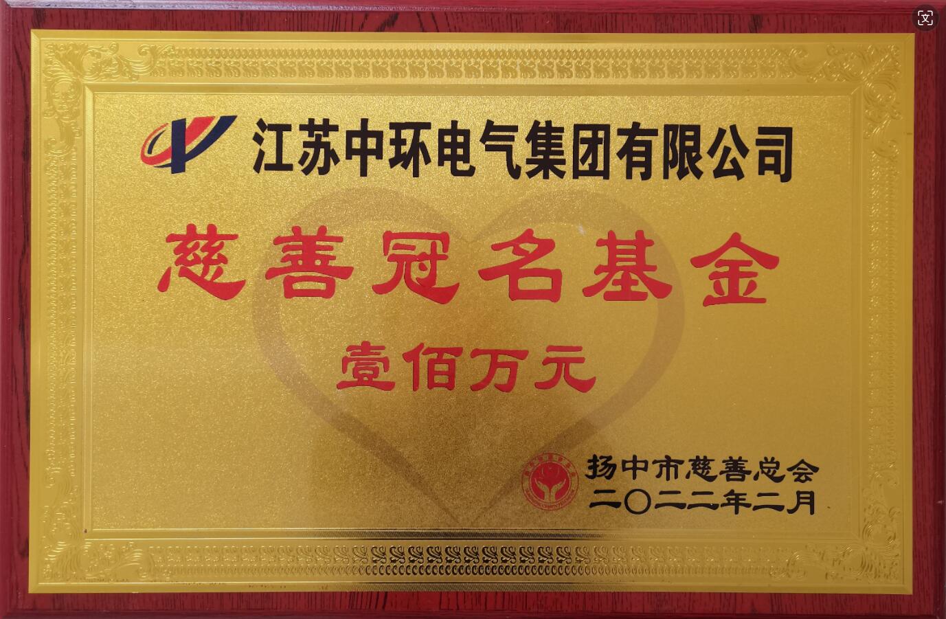 慈善冠名基金（100万元）